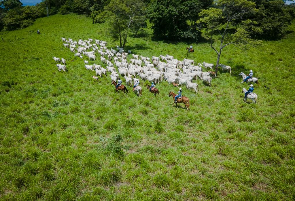 CULTURE AND ADVENTURE EXPERIENCE