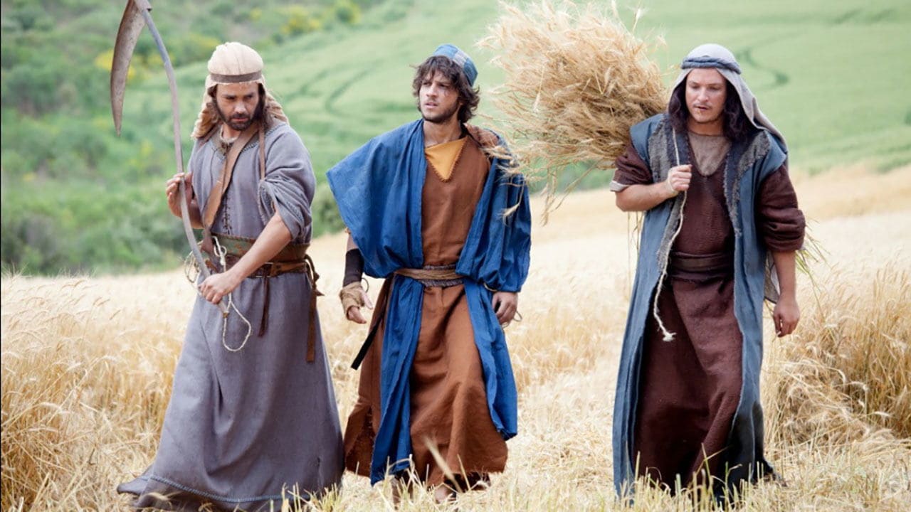 The Miracles of Jesus