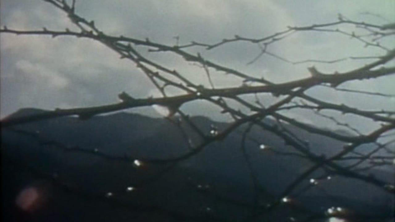 The Weald
