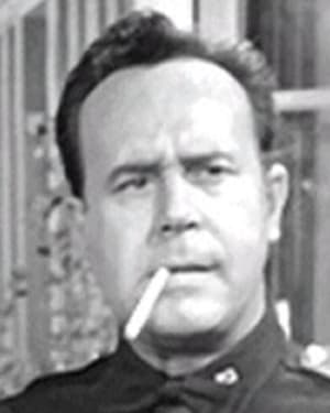 Don Shelton