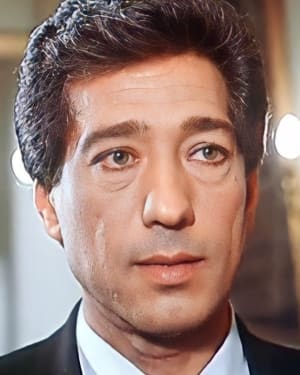 Karam Metawea