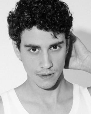 Adam DiMarco