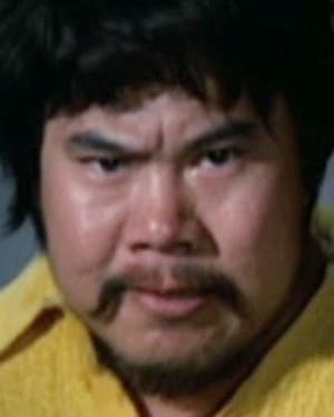 Fan Mei-Sheng