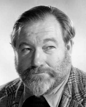 James Robertson Justice