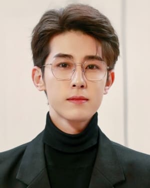 Lin Fengsong
