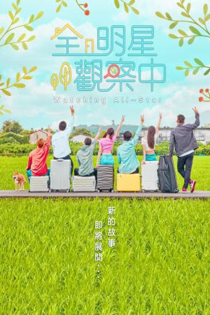 全明星觀察中
