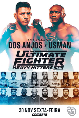 The Ultimate Fighter 28 Finale