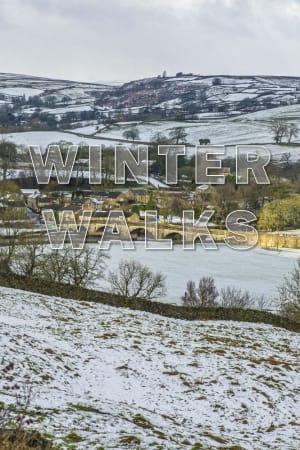 Winter Walks