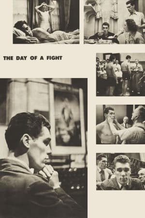 Day of the Fight