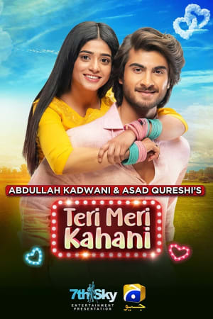 Teri Meri Kahani