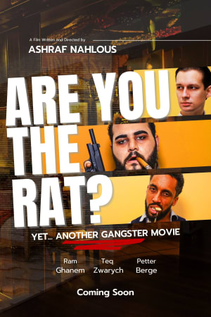 Are You The Rat?