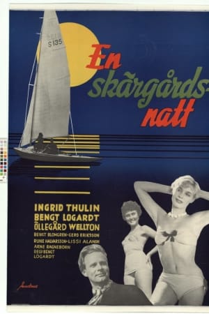En skärgårdsnatt