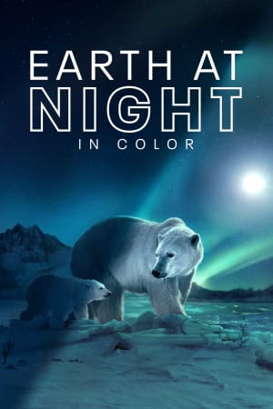 Earth at Night in Colour
