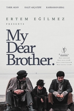 My Dear Brother