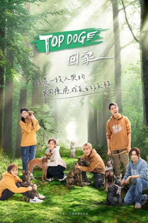 TOP DOG