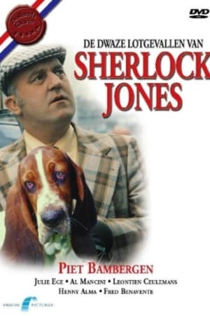 De dwaze lotgevallen van Sherlock Jones