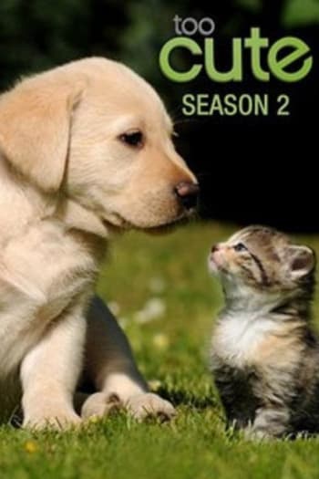 Season 2