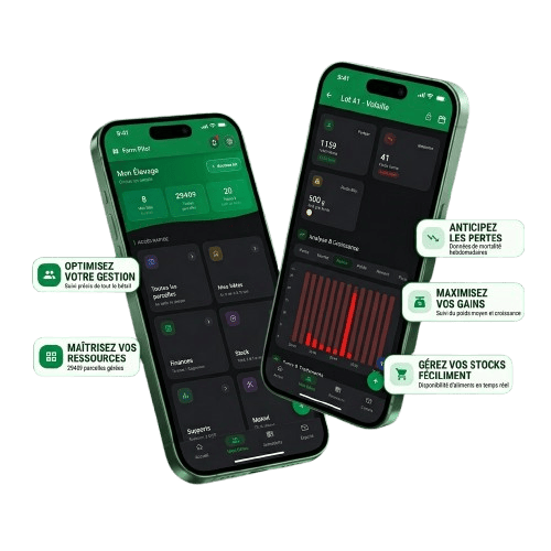 Éleveur africain utilisant l'application Nouyon sur son smartphone pour gérer son élevage