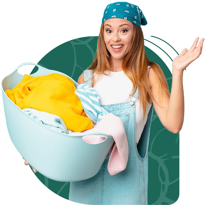 Laundry Solution - Intro Banner
