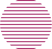 airbnb clone script