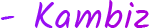 Clone scripts