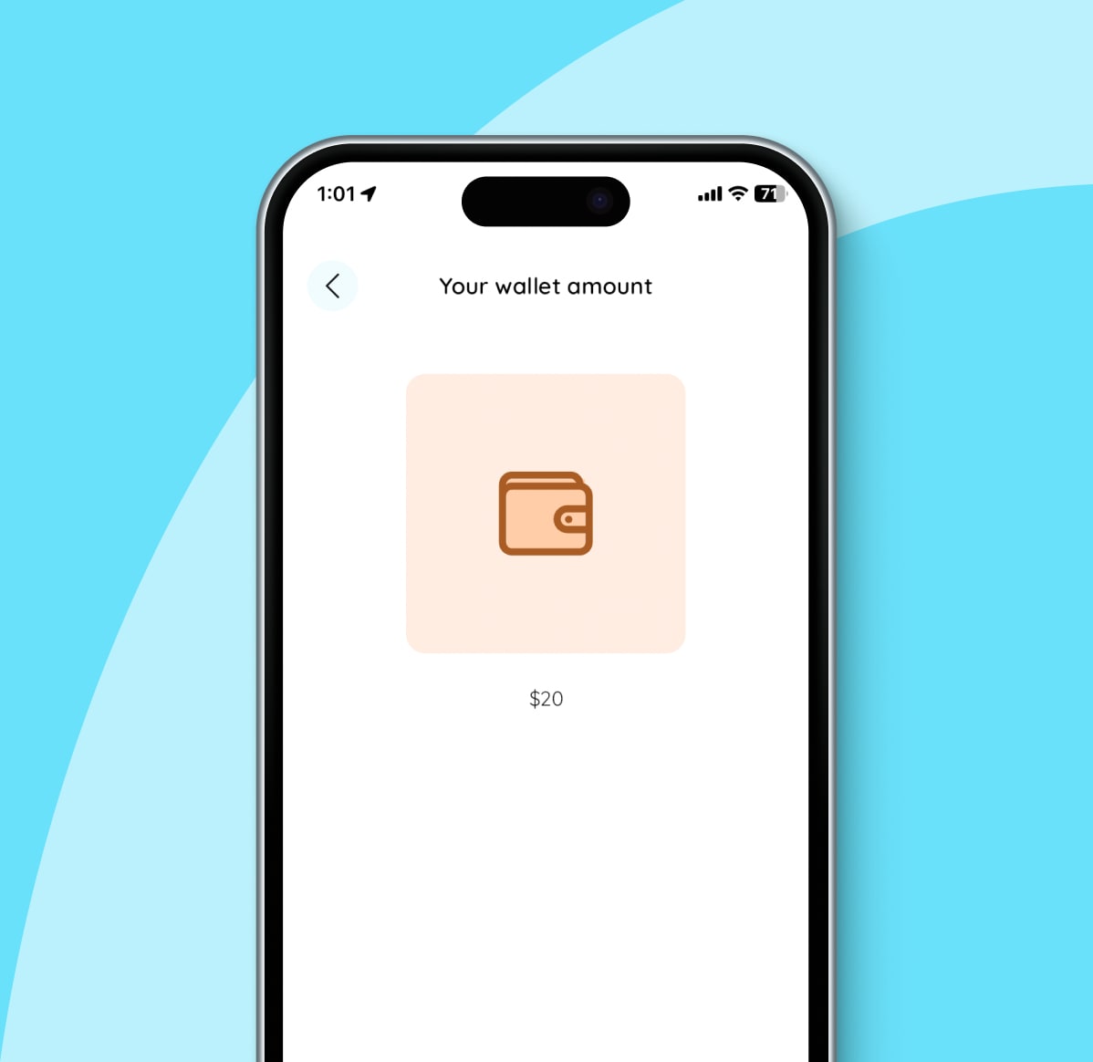 Pay using wallet