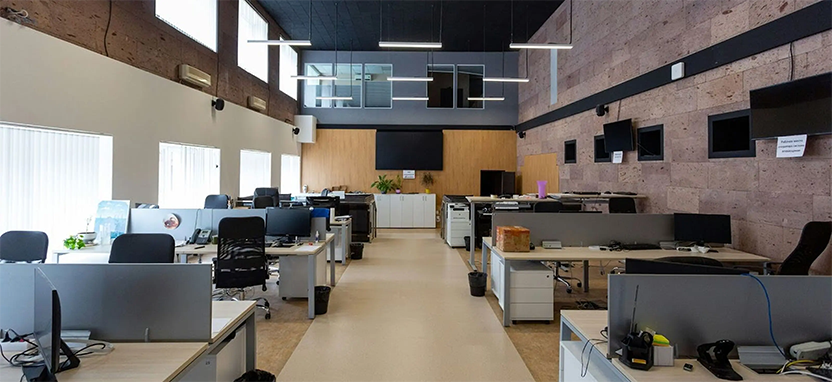 Coworking and Flexible Office Spaces (Flex spaces)