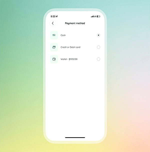 Multiple payment options