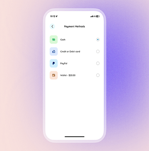 Multi-payment mode