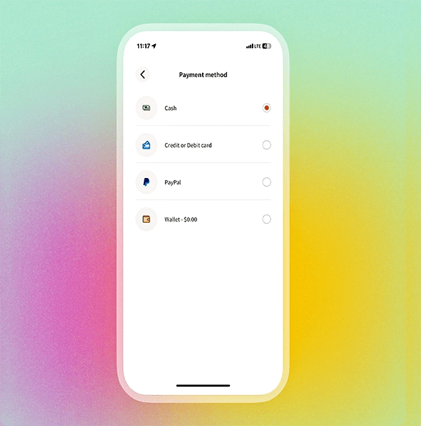 Multi-payment option