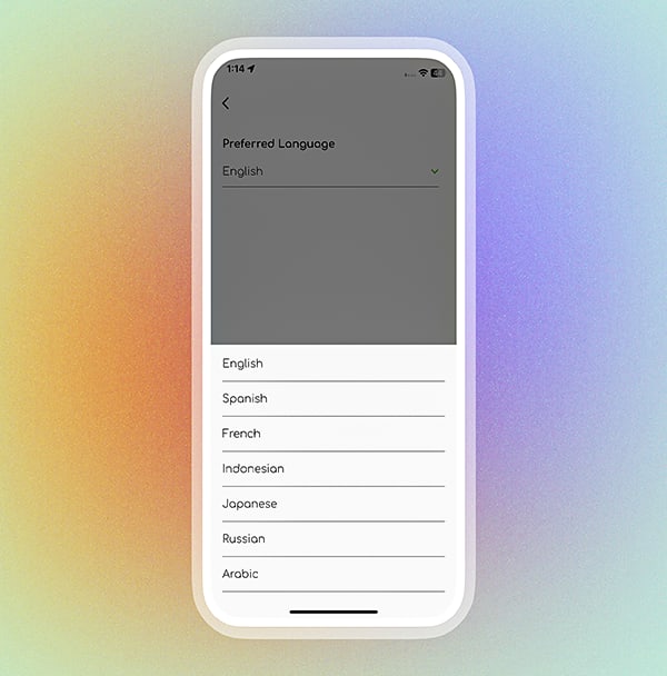 Multi-language options