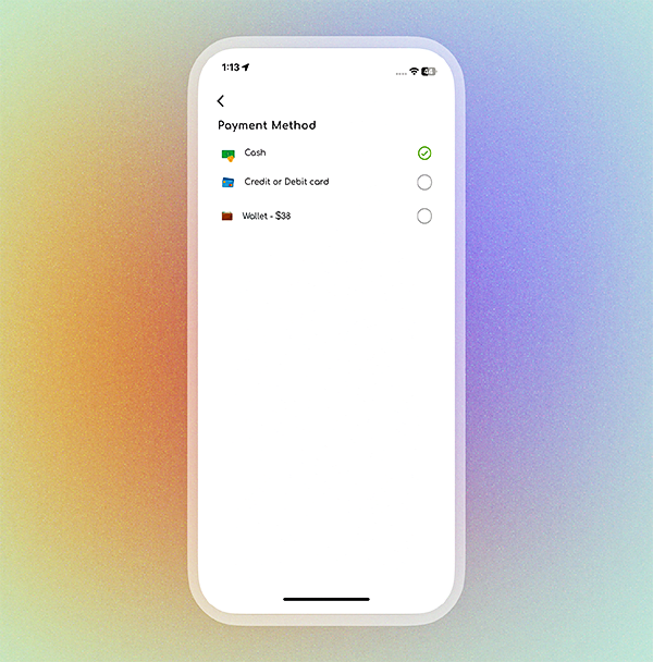 Multiple payment options