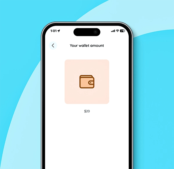 Pay using wallet