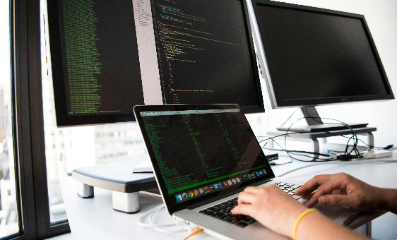 College Organizes Career Guidance and Counseling Program