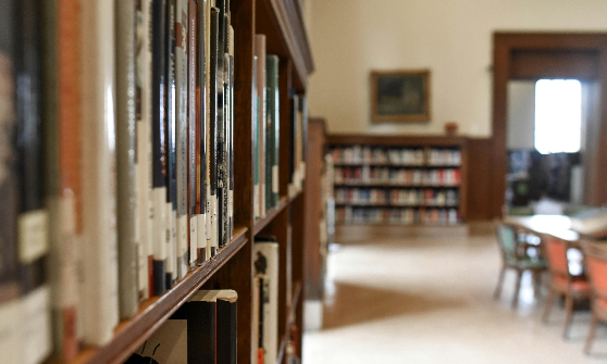 Workshop on Digital Skills and Technology Awareness Held