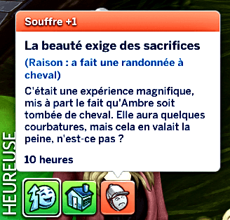 Souffre tombé de cheval