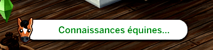 Traduction FR CORE - Equestrian Expanded de Dion traduit par Istolia Sims 4