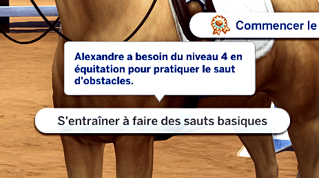 Traduction FR Children can Practise Horse Jumps de LMS traduit par Istolia Sims 4