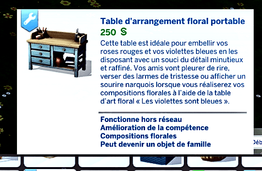 Traduction FR Home Care Specialist de CassitySimmer traduit par Istolia Sims 4