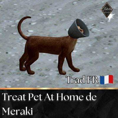 Traduction FR Treat Sick Pet At Home de Meraki traduit par Istolia Sims 4
