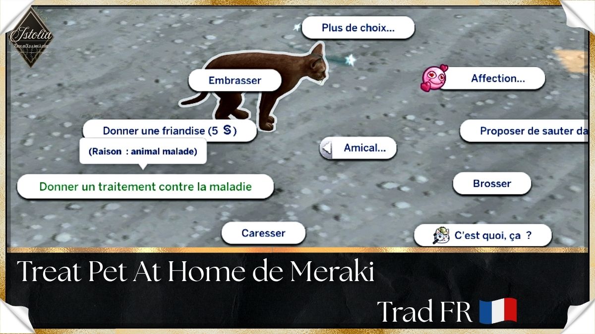 Traduction FR Treat Sick Pet At Home de Meraki traduit par Istolia Sims 4