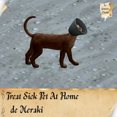 Traduction FR Treat Sick Pet At Home de Meraki traduit par Istolia Sims 4
