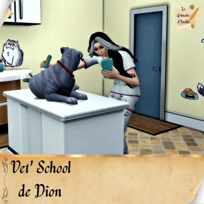 Traduction FR de Vet' School de Dion traduit par Istolia