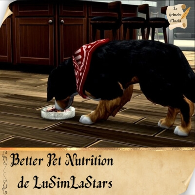 Traduction FR Better Pet Nutrition de LuSimLaStars traduit par Istolia Sims 4