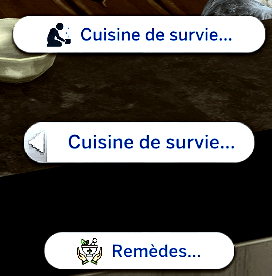 Traduction FR  Post-Apocalyptic Cooking & Scavenging de LuSimLaStars traduit par Istolia Sims 4
