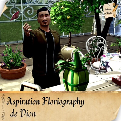 Aspirations Cottagecore de Dion Traduction Française des aspirations Cottagecore Lifestyle: New Aspirations de la moddeuse Dion traduit par Istolia Sims 4