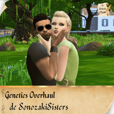 Traduction FR Genetics Overhaul de SonozakiSisters traduit par Istolia Sims 4