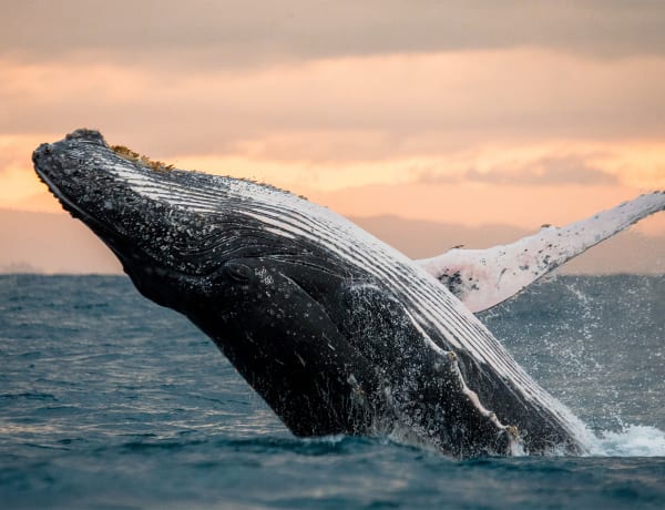 Untouched nature and wilderness scenery in Atlantic Canada