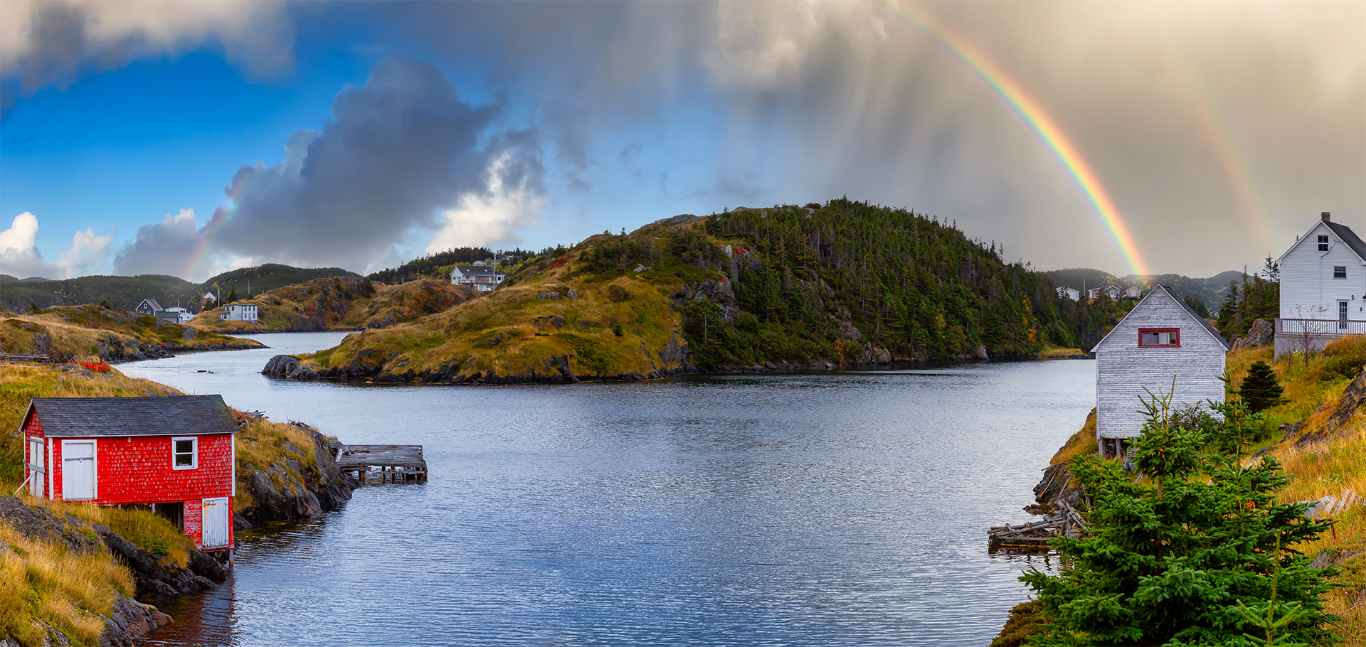 Newfoundland Landscape