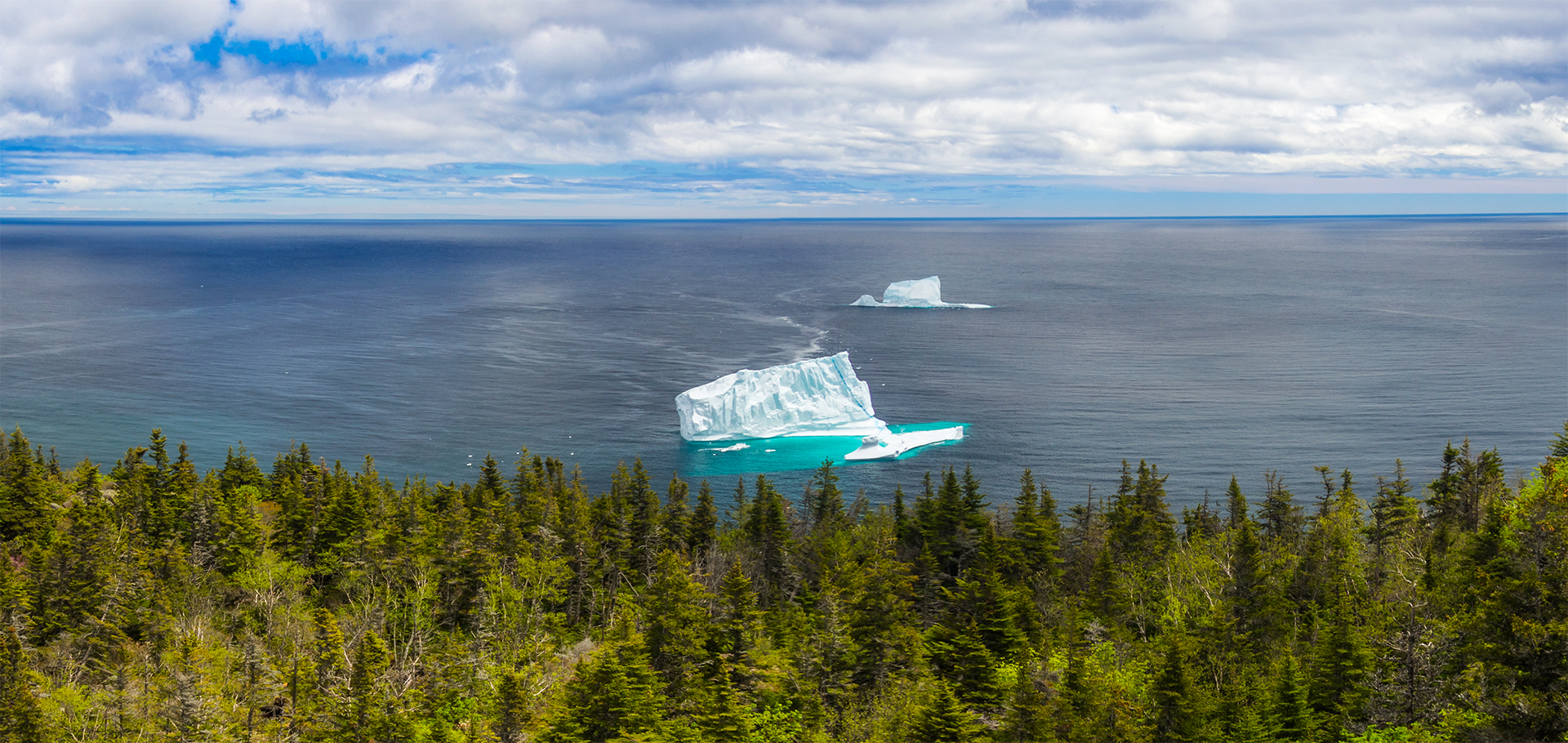 Newfoundland Coastline